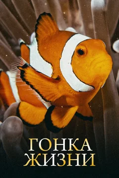 Сериал Гонка жизни 1 сезон (1-13 серия)