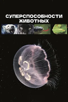 ТВ-шоу Суперспособности животных 1 сезон (1-13 серия)